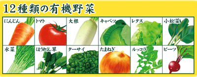 12種類の有機野菜