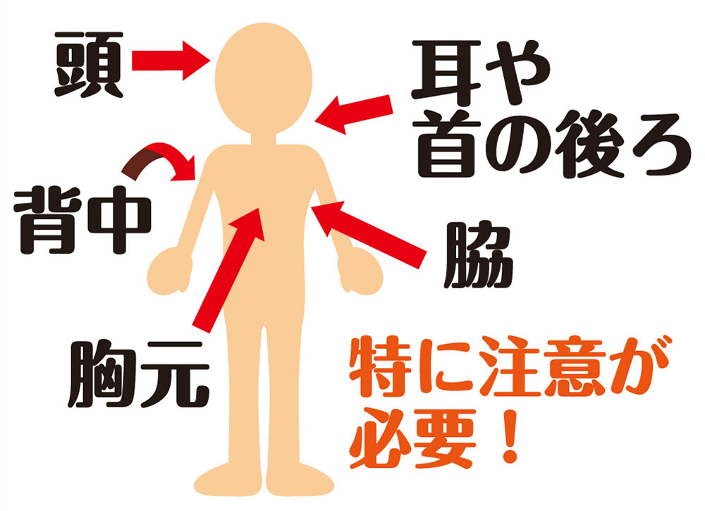 気になる「加齢臭」の原因とケア (後編) めいらく調査隊が行く！知って得する食と健康コラム