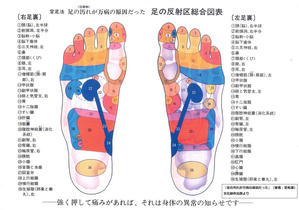 官足法足の反射区総合図表