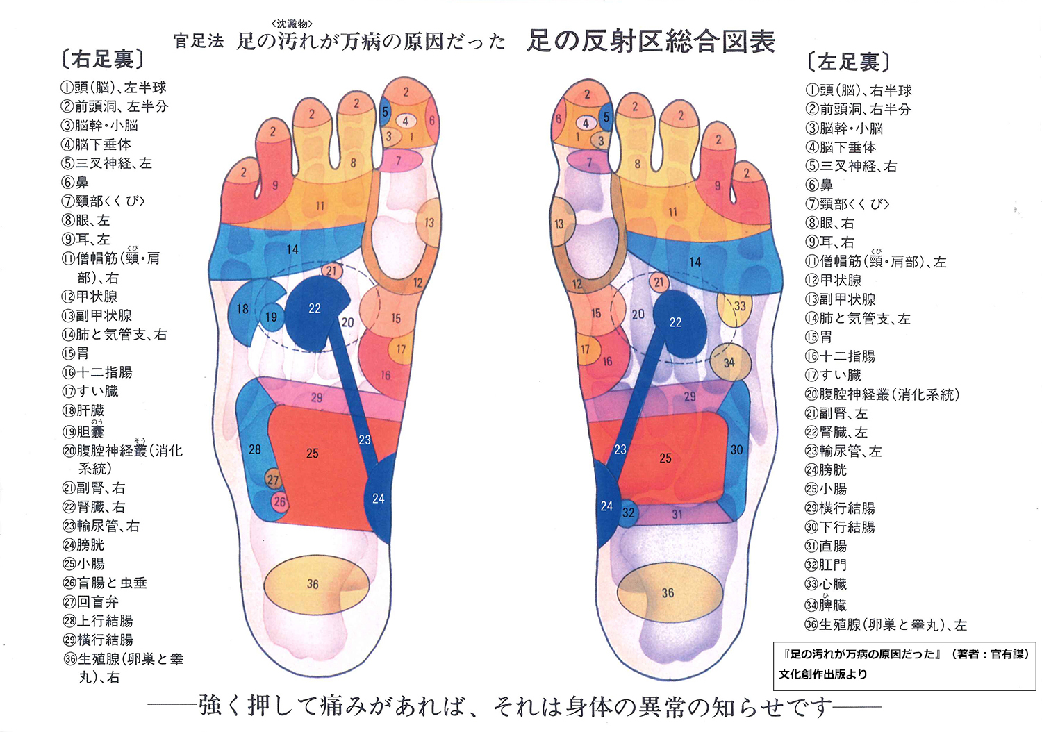 足 の 裏 押す と 痛い