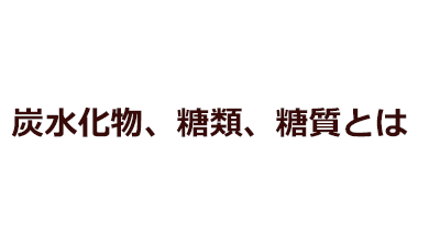 炭水化物、糖類、糖質とは