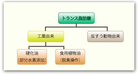 トランス脂肪酸とは