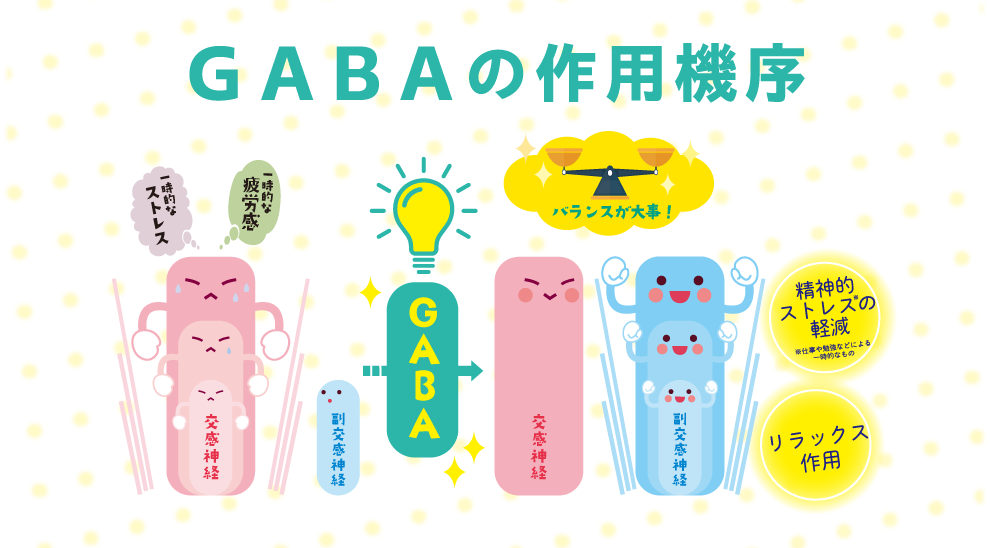 GABAの作用機序