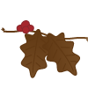 豆